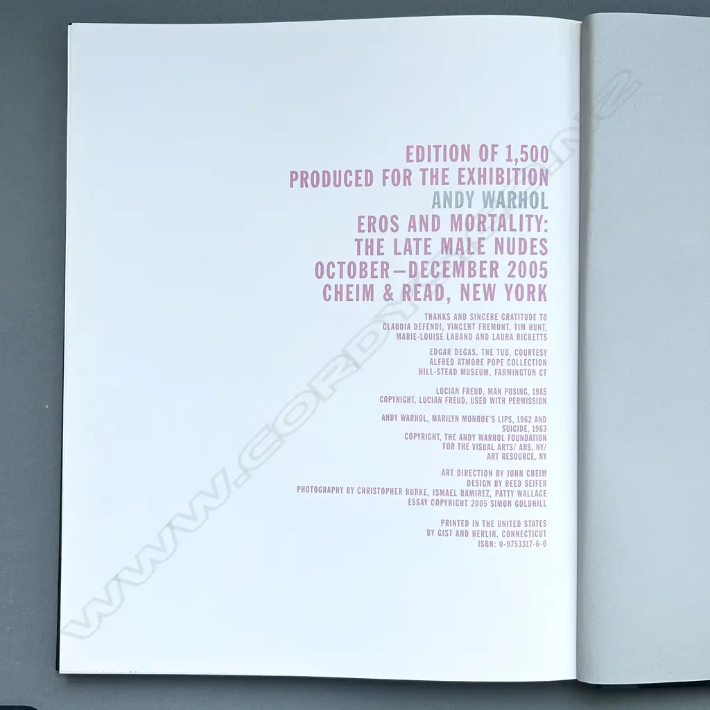 ANDY WARHOL: EROS AND MORTALITY THE LATE MALE NUDES Image 1++